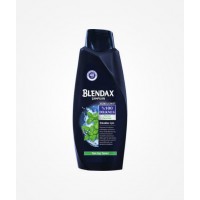 Blendax Men Menthol Shampoo 550 ml